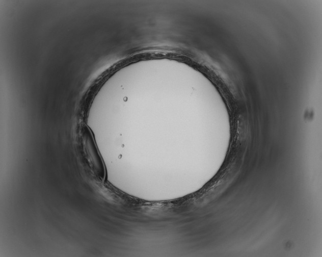 X0000101201352200807251016