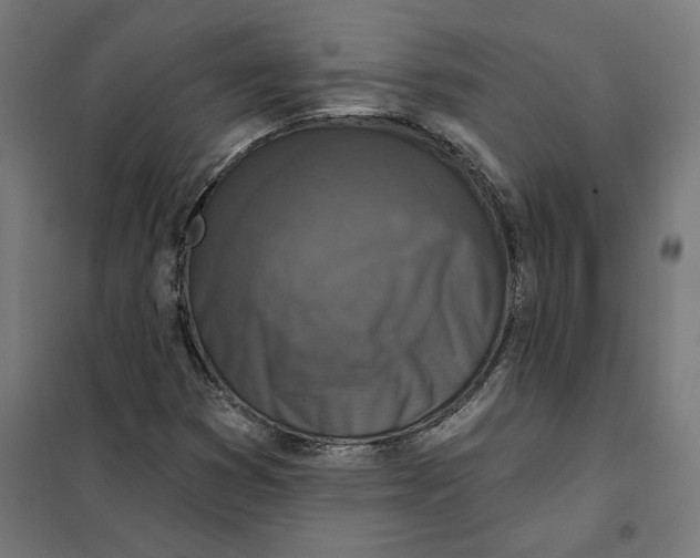 X0000101201353200807251016