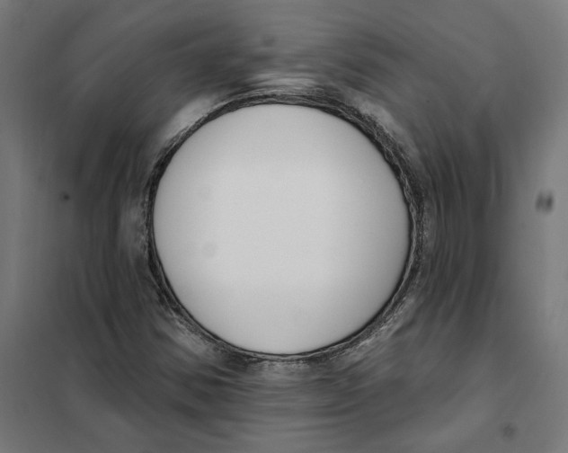 X0000101201354200807251016