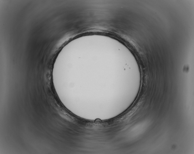 X0000101201355200807251016