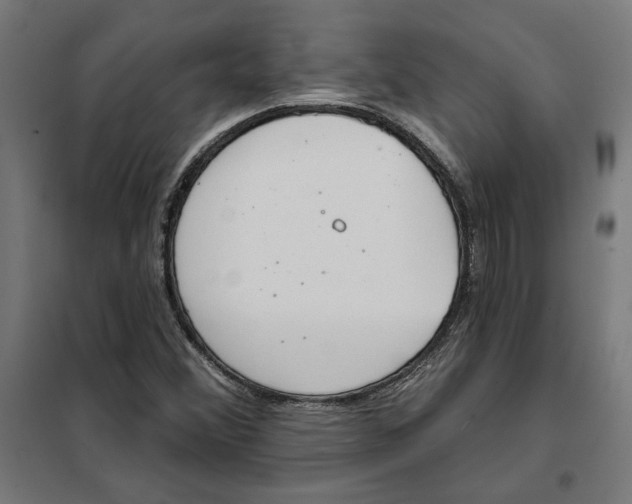 X0000101201356200807251016