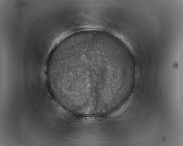 X0000101201357200807251016