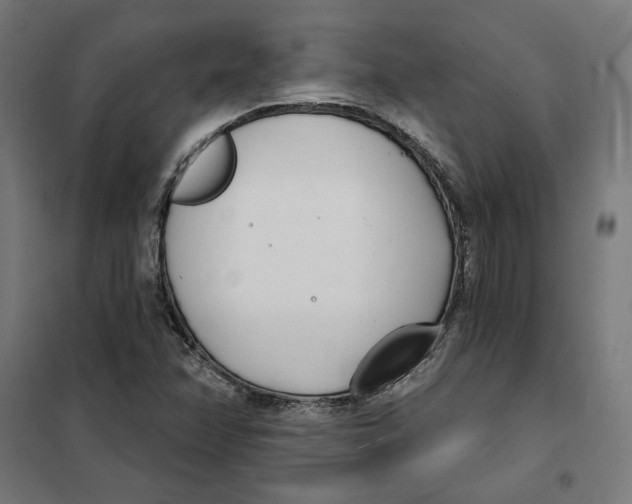 X0000101201358200807251016