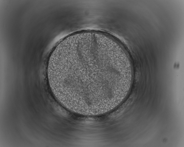 X0000101201359200807251016