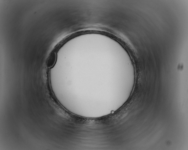 X0000101201360200807251016