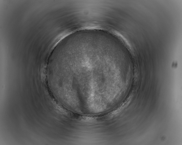 X0000101201361200807251016