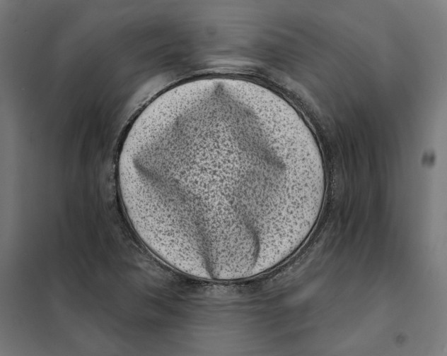 X0000101201362200807251016