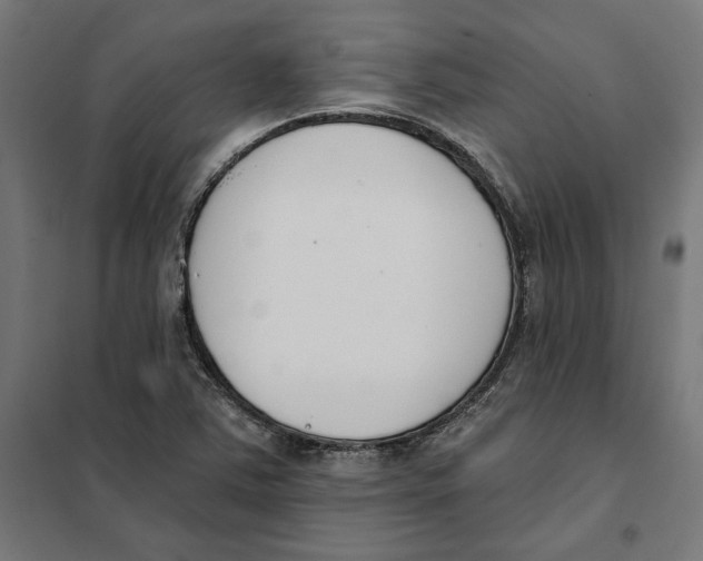 X0000101201363200807251016