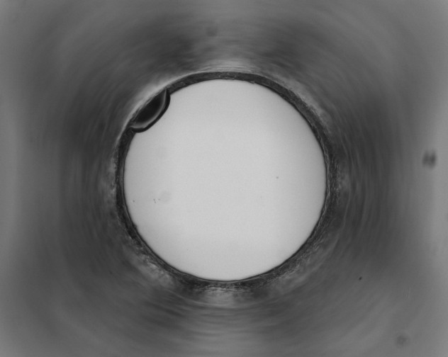 X0000101201364200807251016