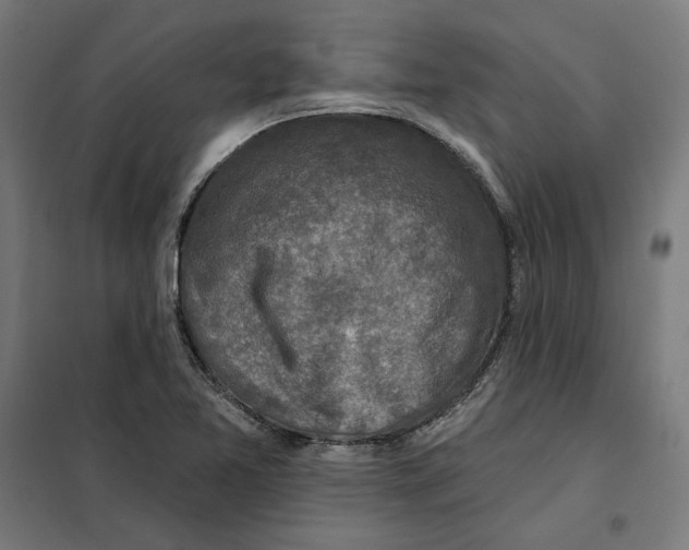 X0000101201365200807251016