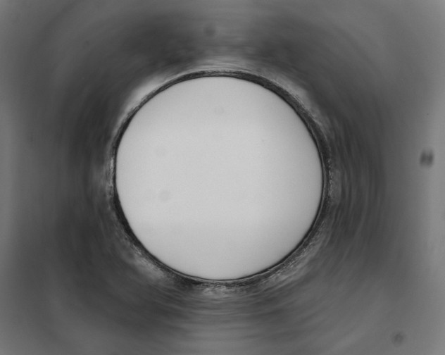 X0000101201366200807251016