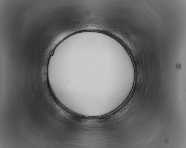 X0000101201367200807251016