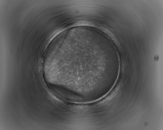 X0000101201369200807251016