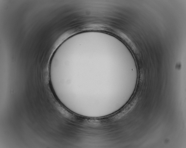 X0000101201370200807251016