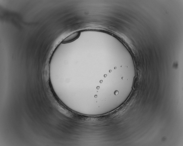 X0000101201371200807251016