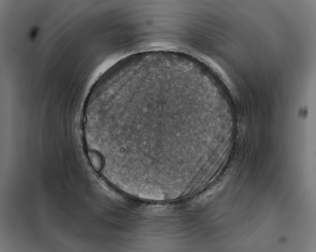 X0000101201373200807251015