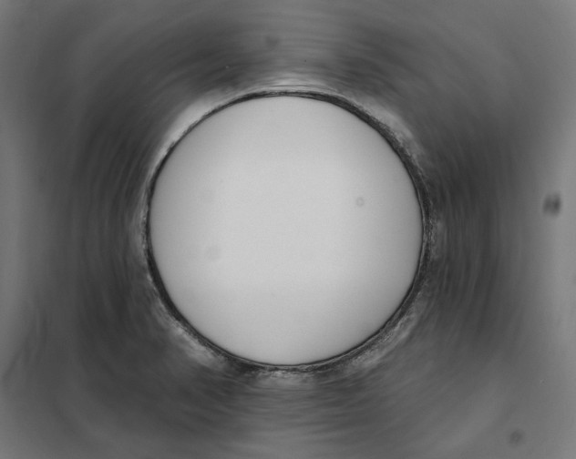 X0000101201374200807251015