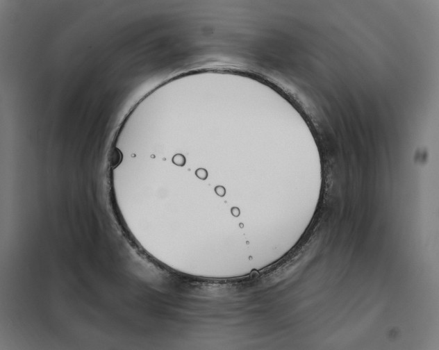 X0000101201375200807251015