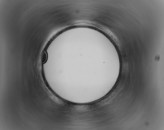 X0000101201376200807251015