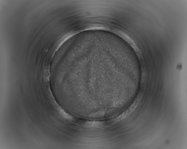 X0000101201377200807251015