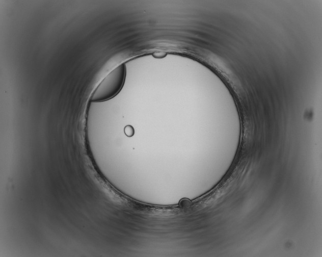 X0000101201378200807251015