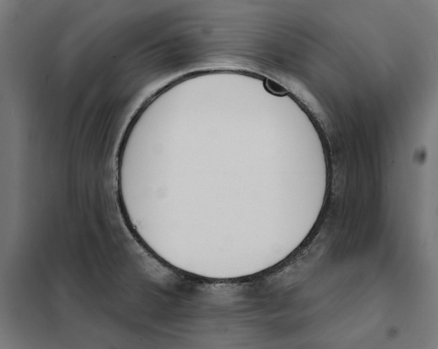 X0000101201380200807251015