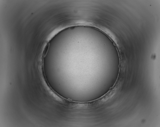 X0000101201381200807251015