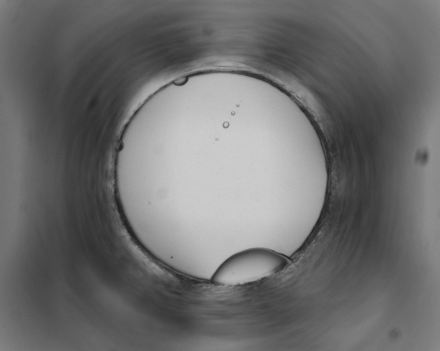 X0000101201382200807251015