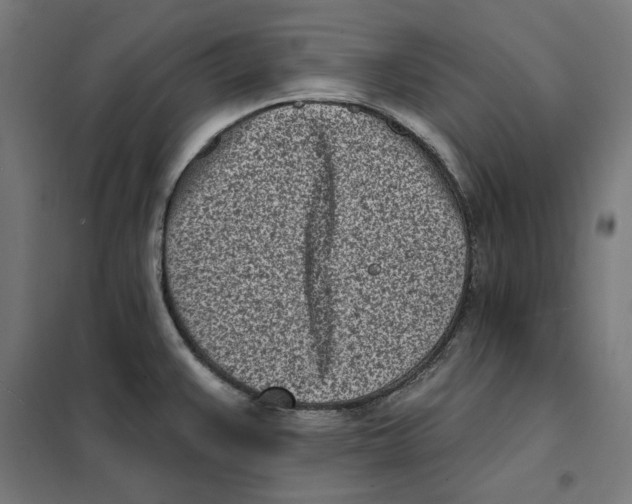 X0000101201383200807251015