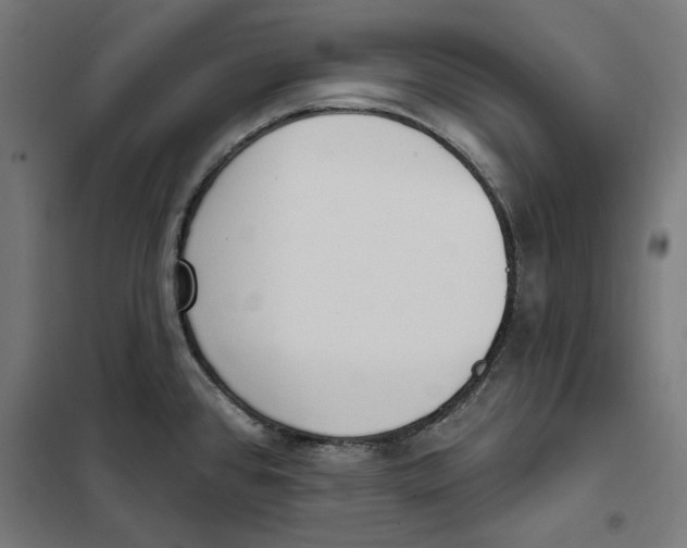 X0000101201384200807251015