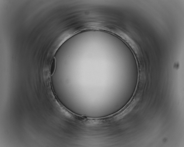 X0000101201385200807251015