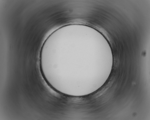 X0000101201387200807251015