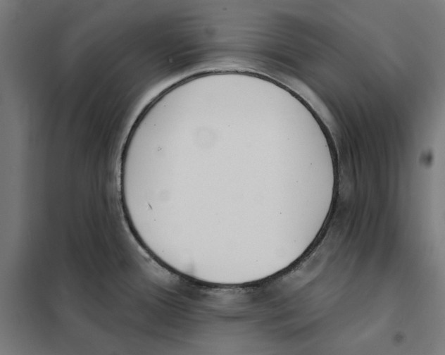 X0000101201388200807251015