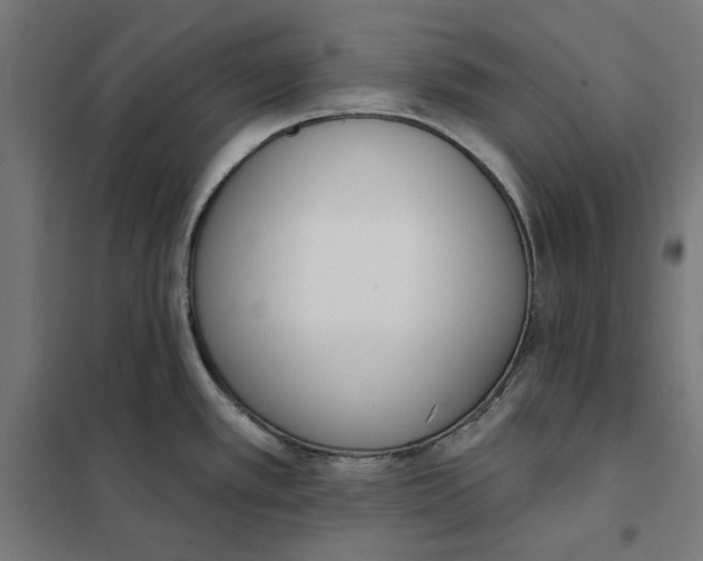 X0000101201389200807251015