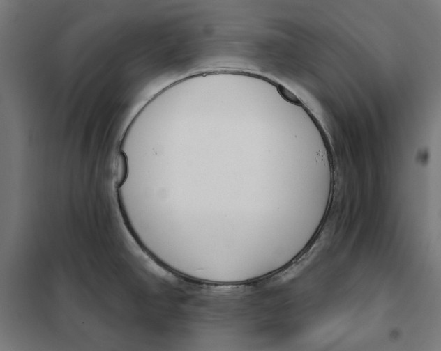 X0000101201390200807251015