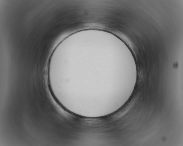 X0000101201391200807251015