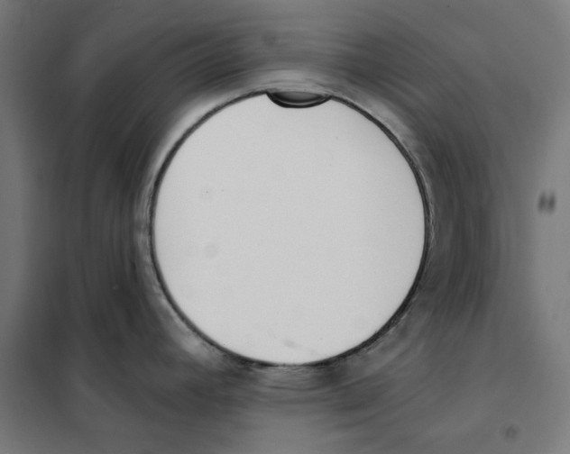 X0000101201392200807251015