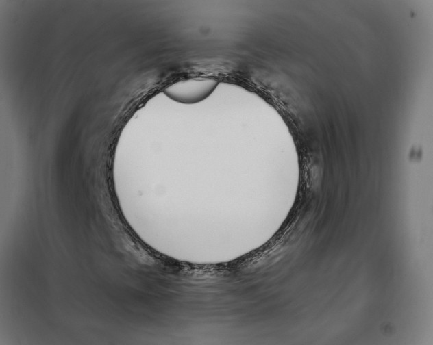 X0000101201393200807251014