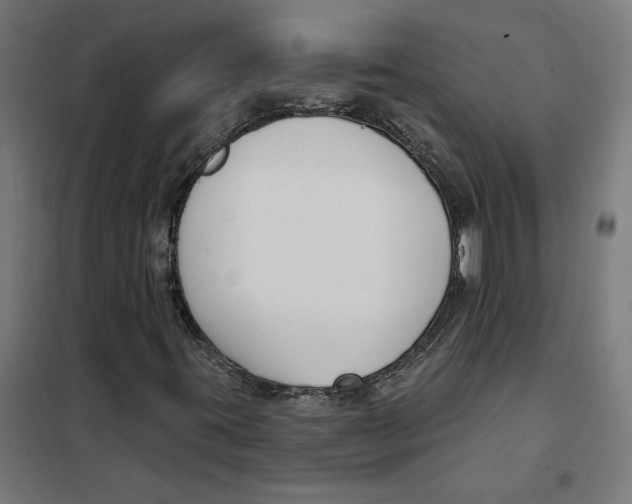 X0000101201395200807251014