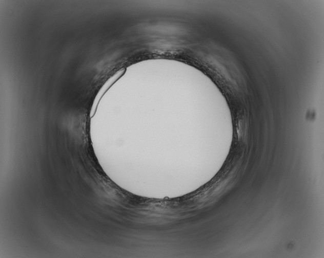 X0000101201396200807251014