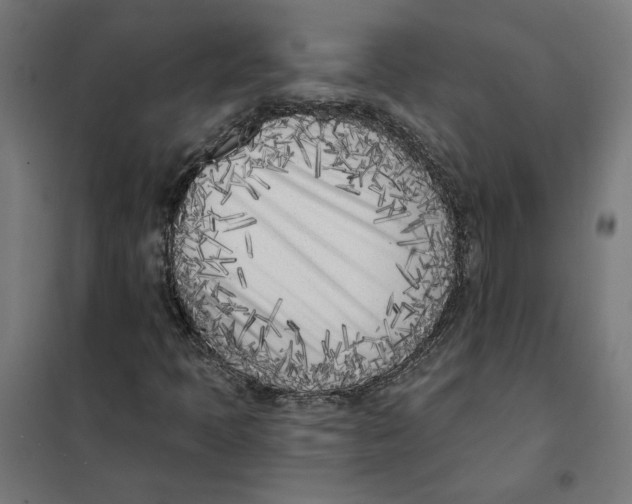 X0000101201397200807251014