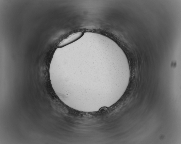 X0000101201398200807251014