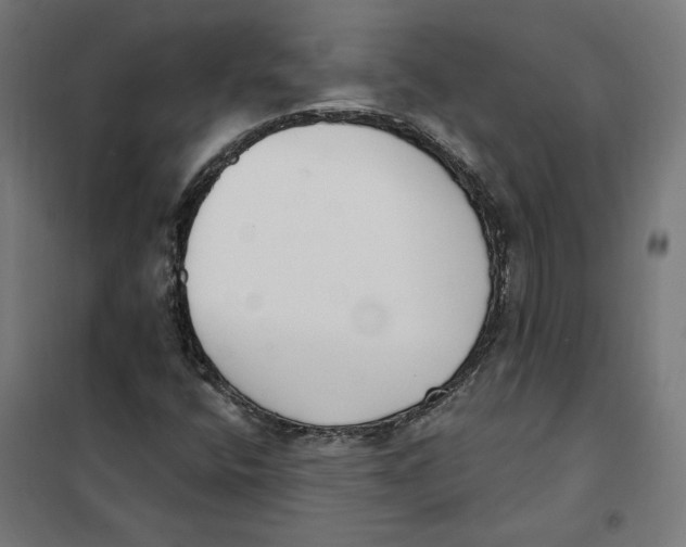 X0000101201400200807251014