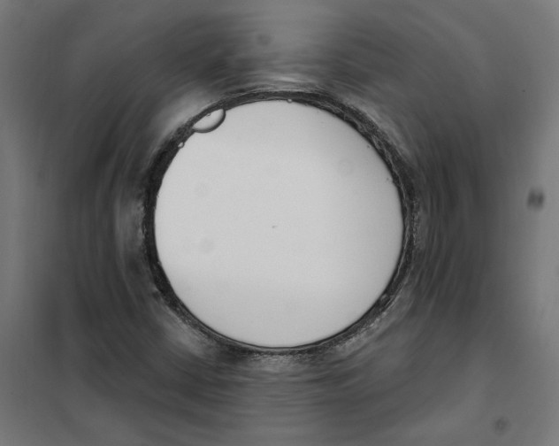 X0000101201402200807251015