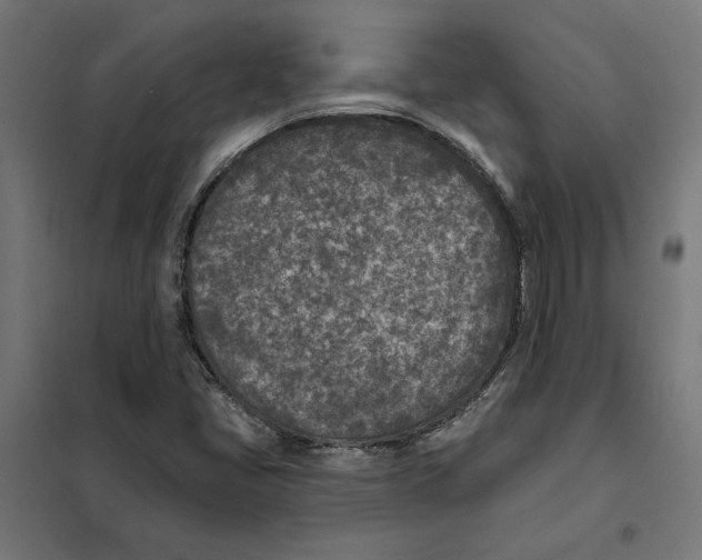 X0000101201405200807251015