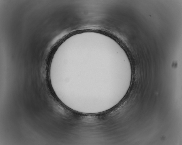 X0000101201406200807251015