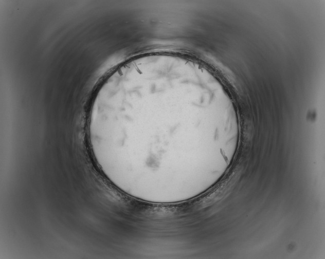 X0000101201411200807251015