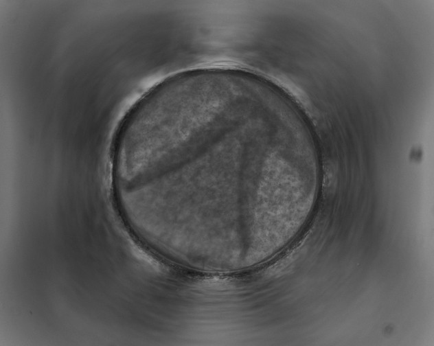 X0000101201414200807251015