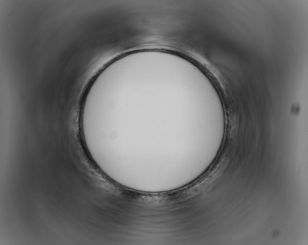 X0000101201415200807251015