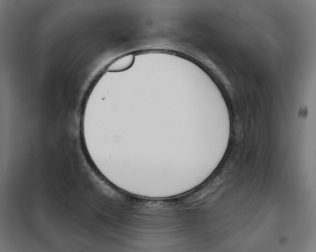 X0000101201416200807251015